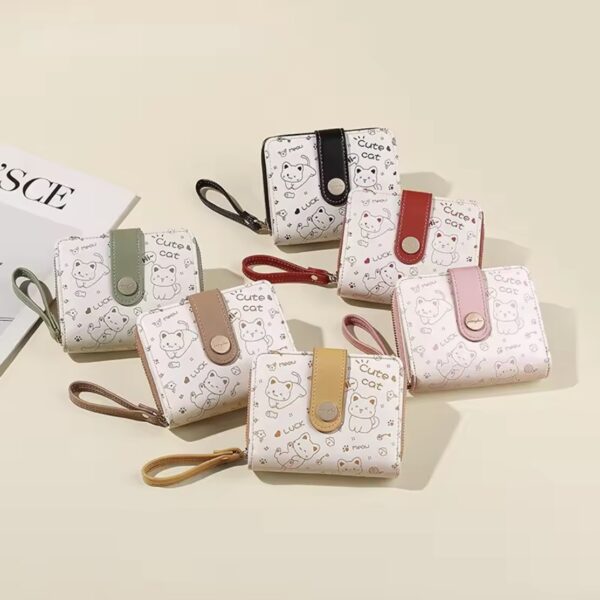 CARTERA AY-50